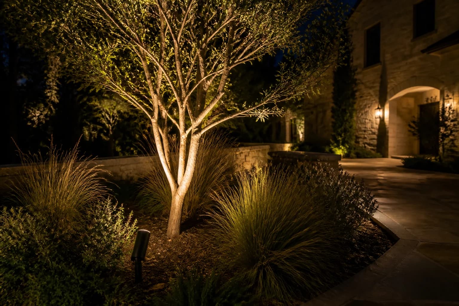 Small black tree uplight illuminating an ornamental tree at a fictional luxury home